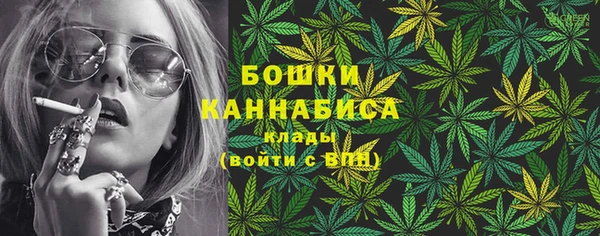 ешки Бронницы