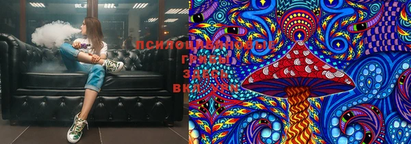 ешки Бронницы