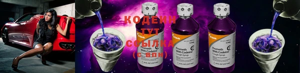 ешки Бронницы