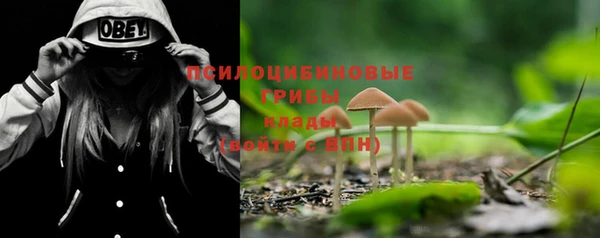 ешки Бронницы