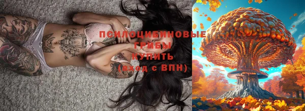а пвп мука Бородино
