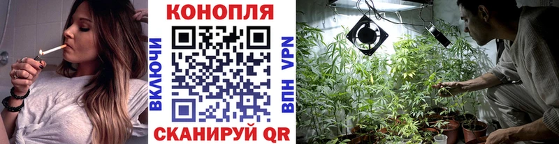 Канабис Bruce Banner  купить наркотик  OMG как зайти  Новопавловск 